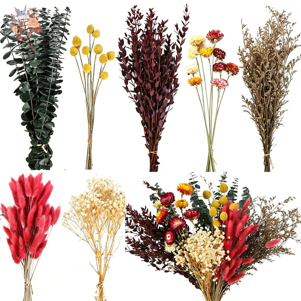 Anda Florist Supply - Set de Flores Secas al por