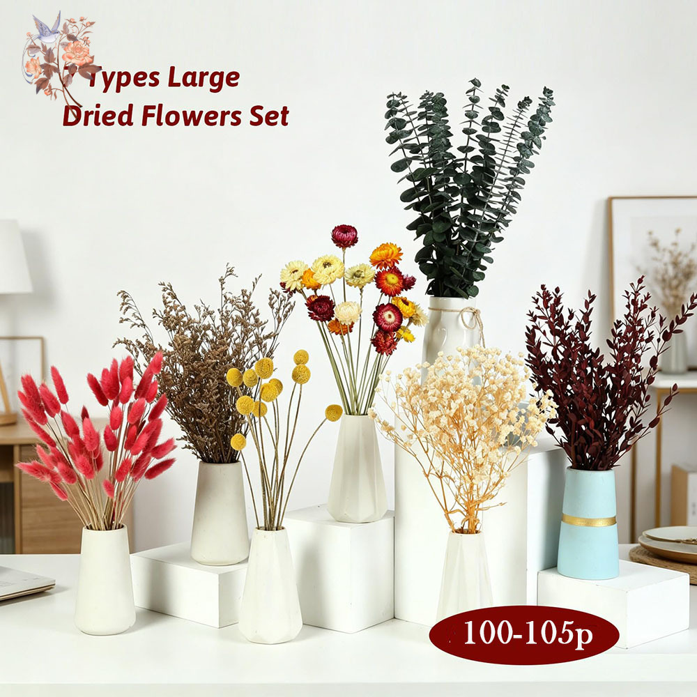 Set de Flores Secas al por May - Anda Florist Supply reseña y precio